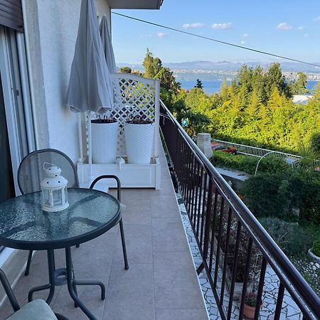 Guesthouse Villa Stanger 2 ロヴラン エクステリア 写真